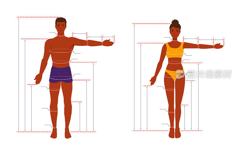 An adult human body size chart. Measurements for tailoring clothes. A measure of a man, a woman. People standing in a full length with one arm spread out.